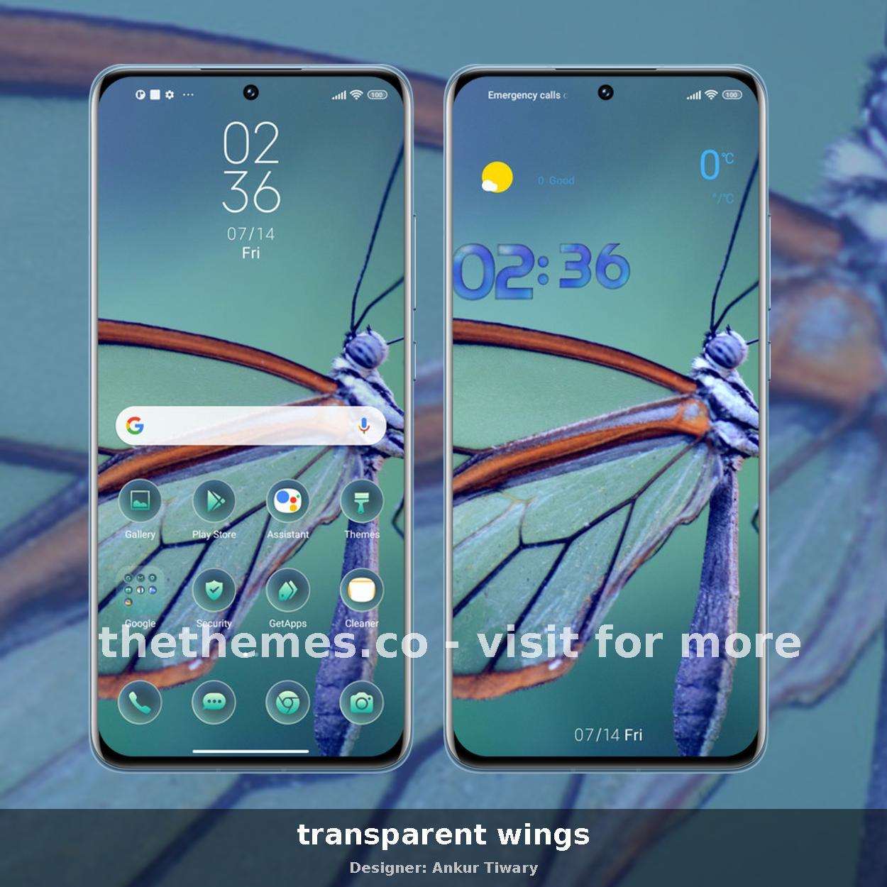 transparent wings