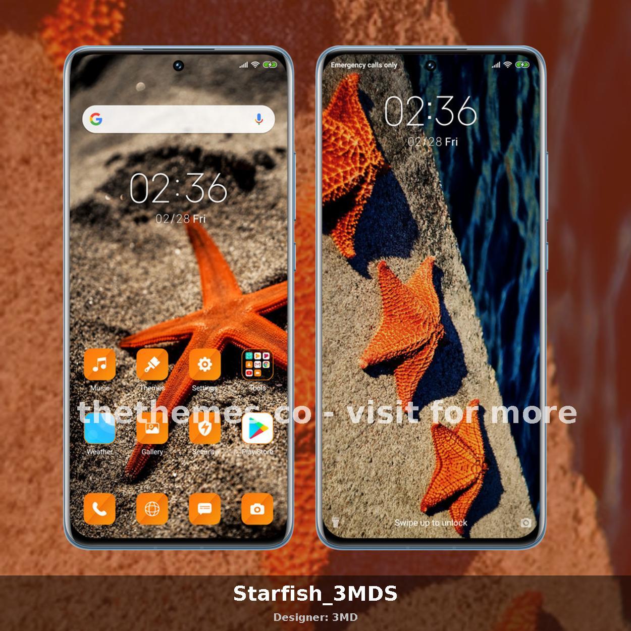 Starfish_3MDS