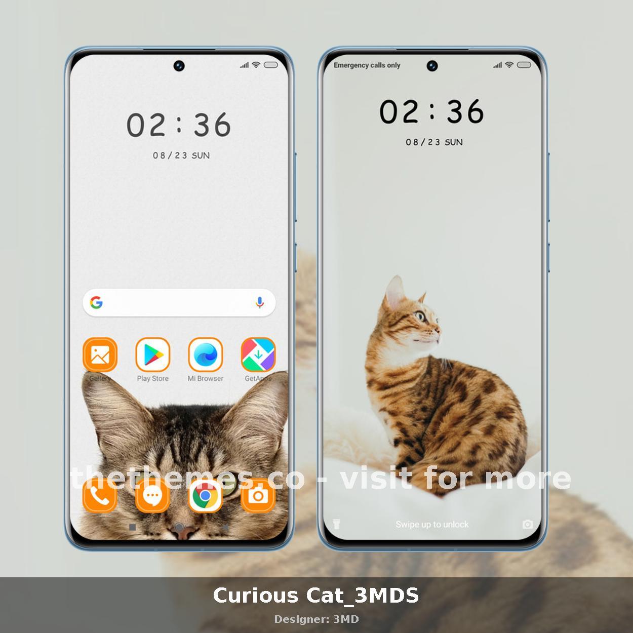 Curious Cat_3MDS
