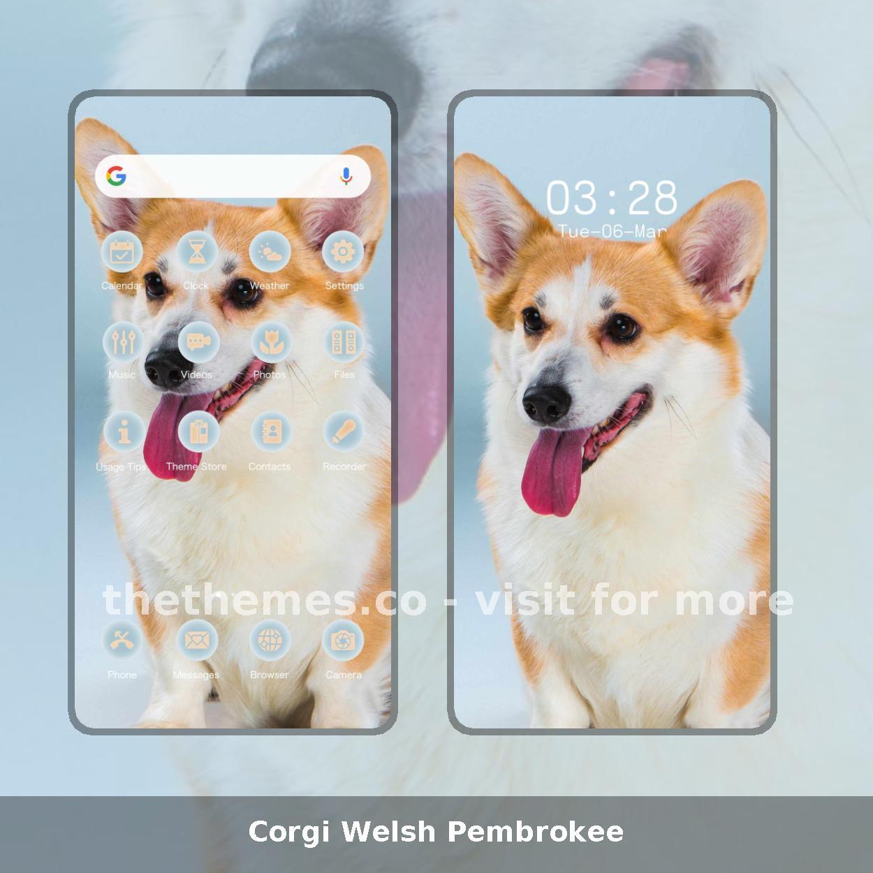 Corgi Welsh Pembrokee