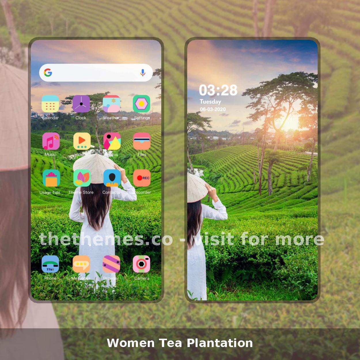 Women Tea Plantation