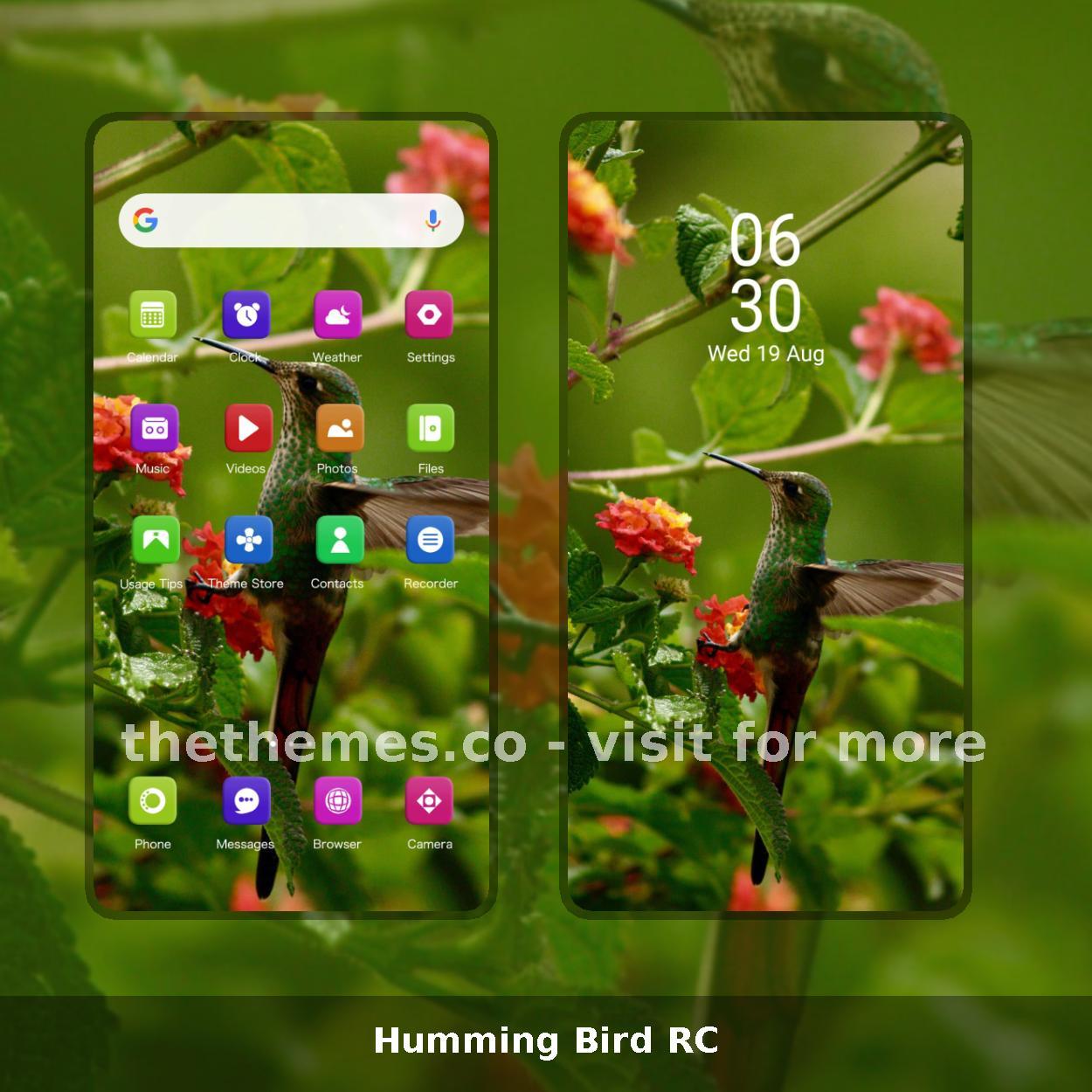 Humming Bird RC