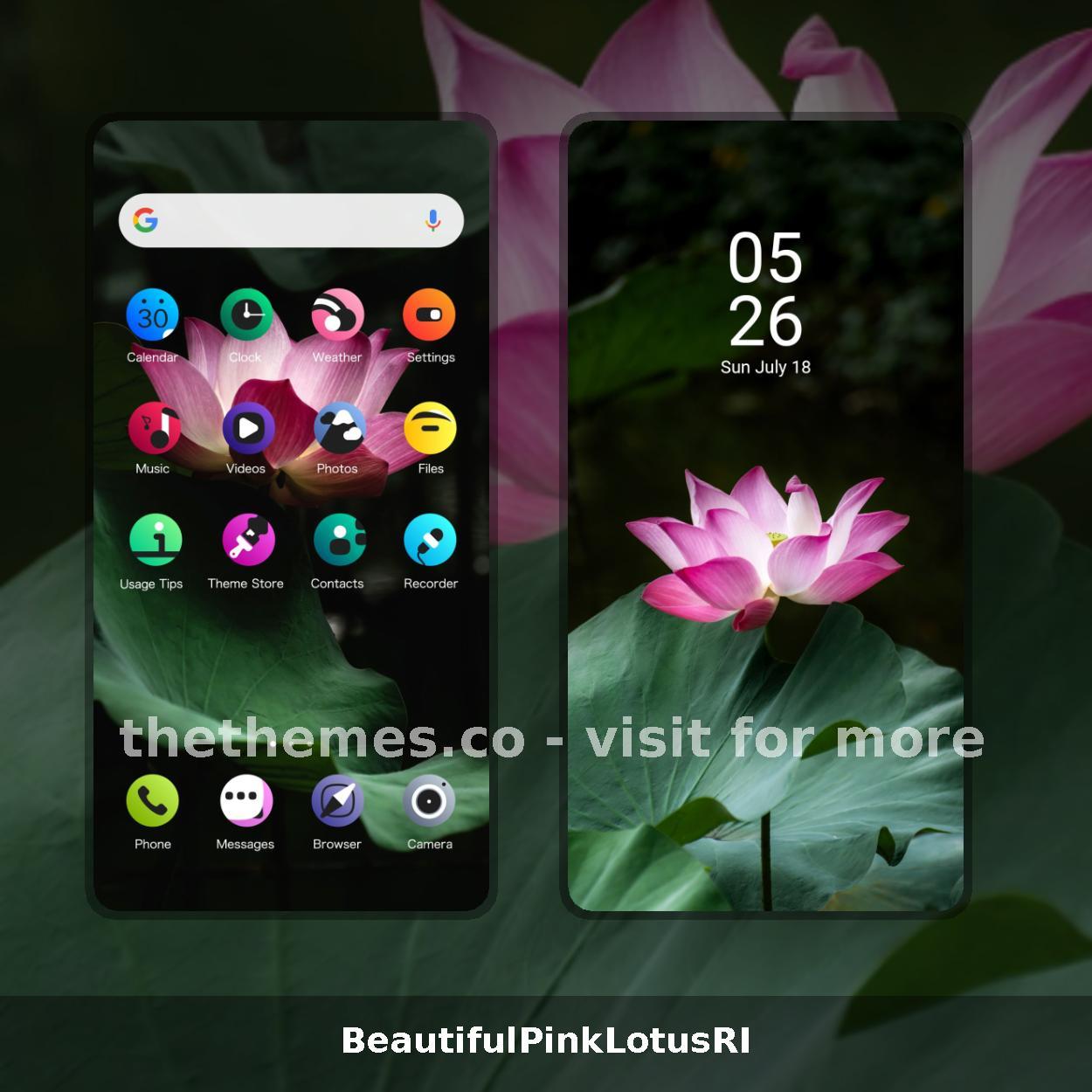 BeautifulPinkLotusRI