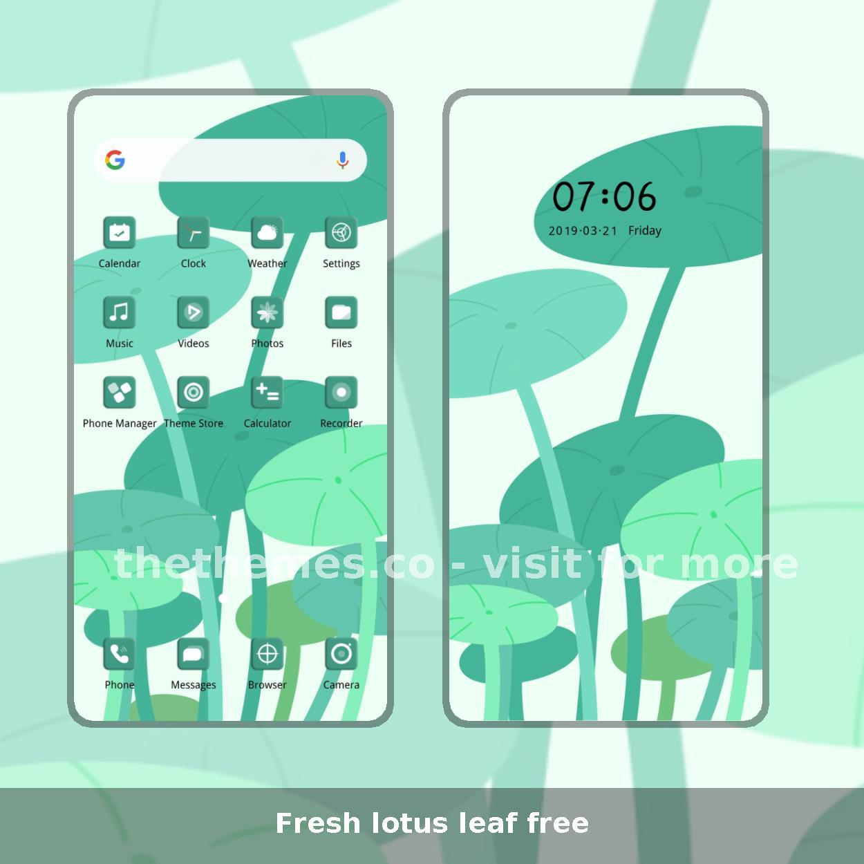 Fresh lotus leaf free