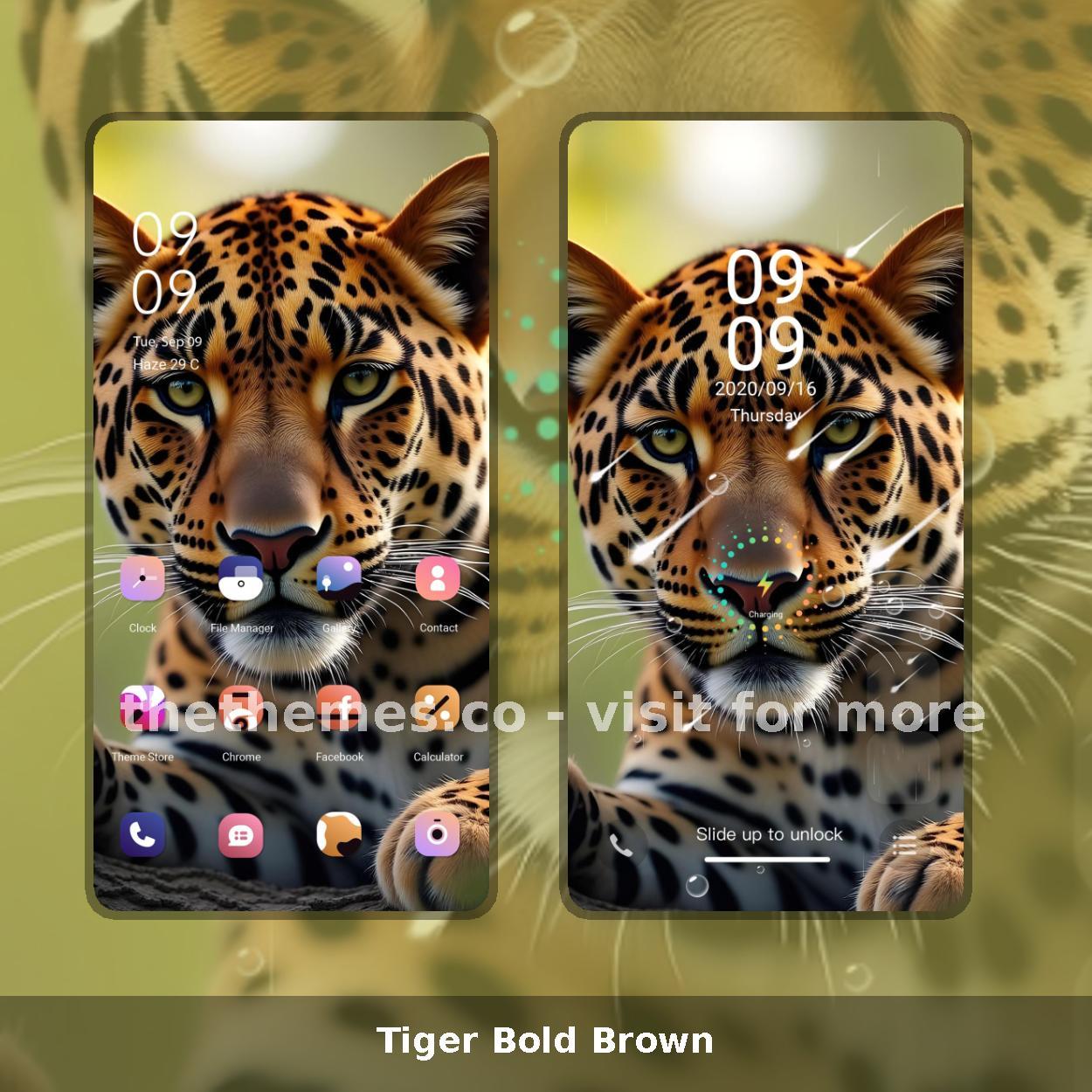 Tiger Bold Brown