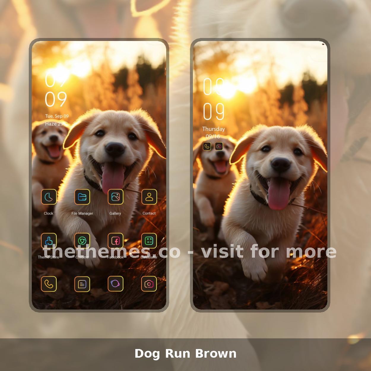 Dog Run Brown