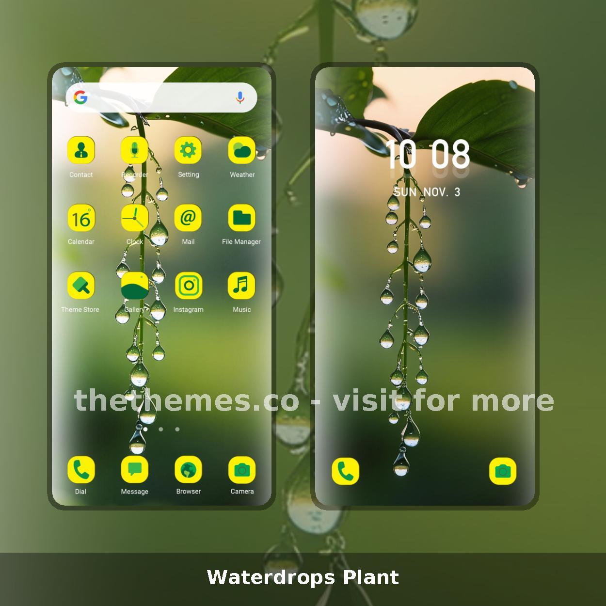 Waterdrops Plant
