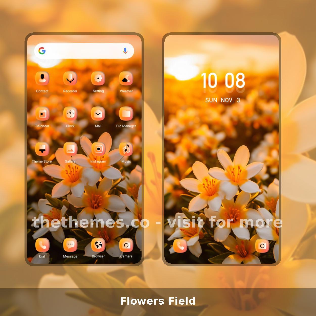 Flowers Field