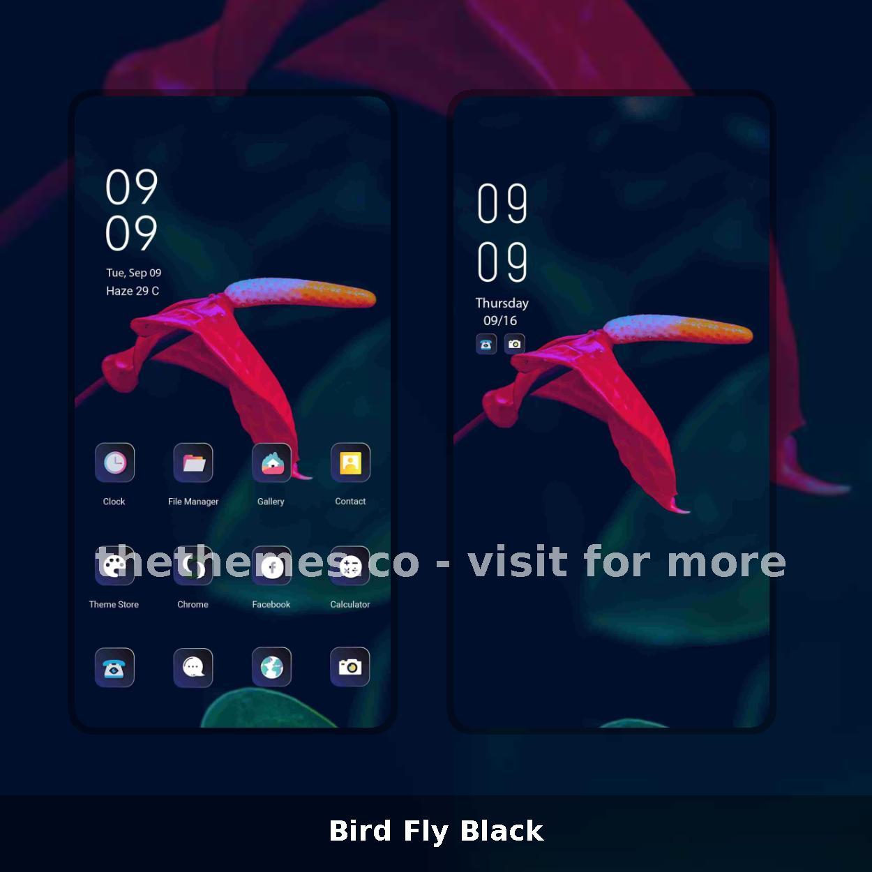 Bird Fly Black